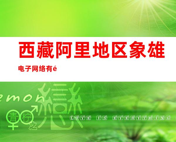 西藏阿里地区象雄电子网络有限责任公司